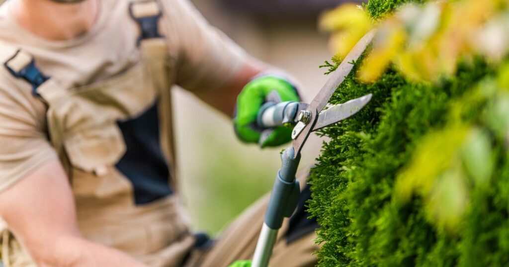 poda e plantio em Jundiaí